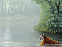 tiger taking a swim in a jungle river with trees are depicted on this background paper